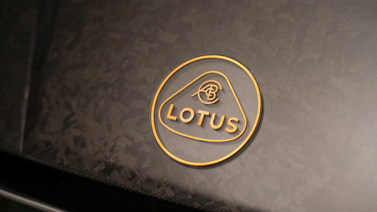 Lotus Theory 1 concept